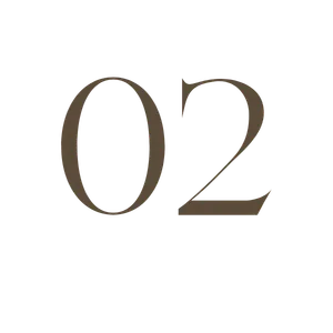 number 02 brown transparent