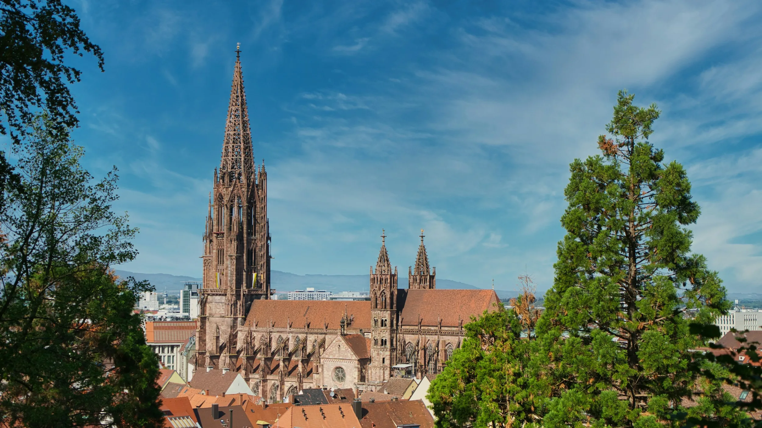 Freiburger Altstadt mit Münster