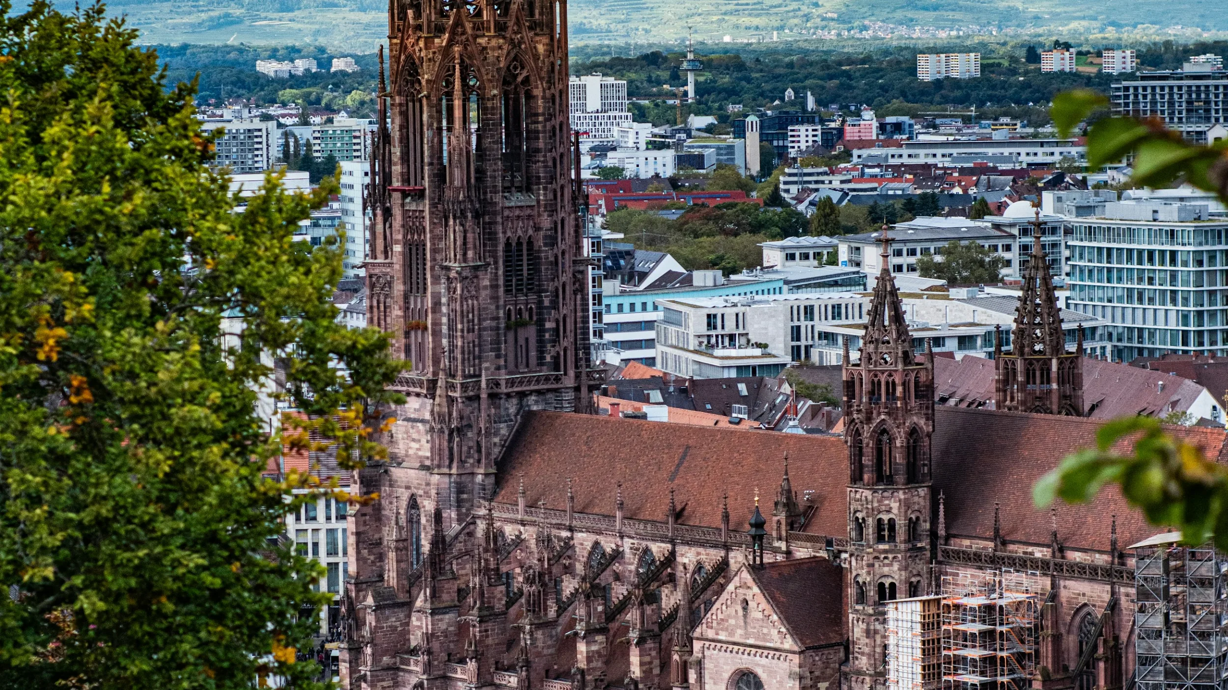 Freiburger Münster